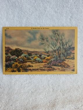 Smoke Tree On The Desert. Vintage Linen Post Card.